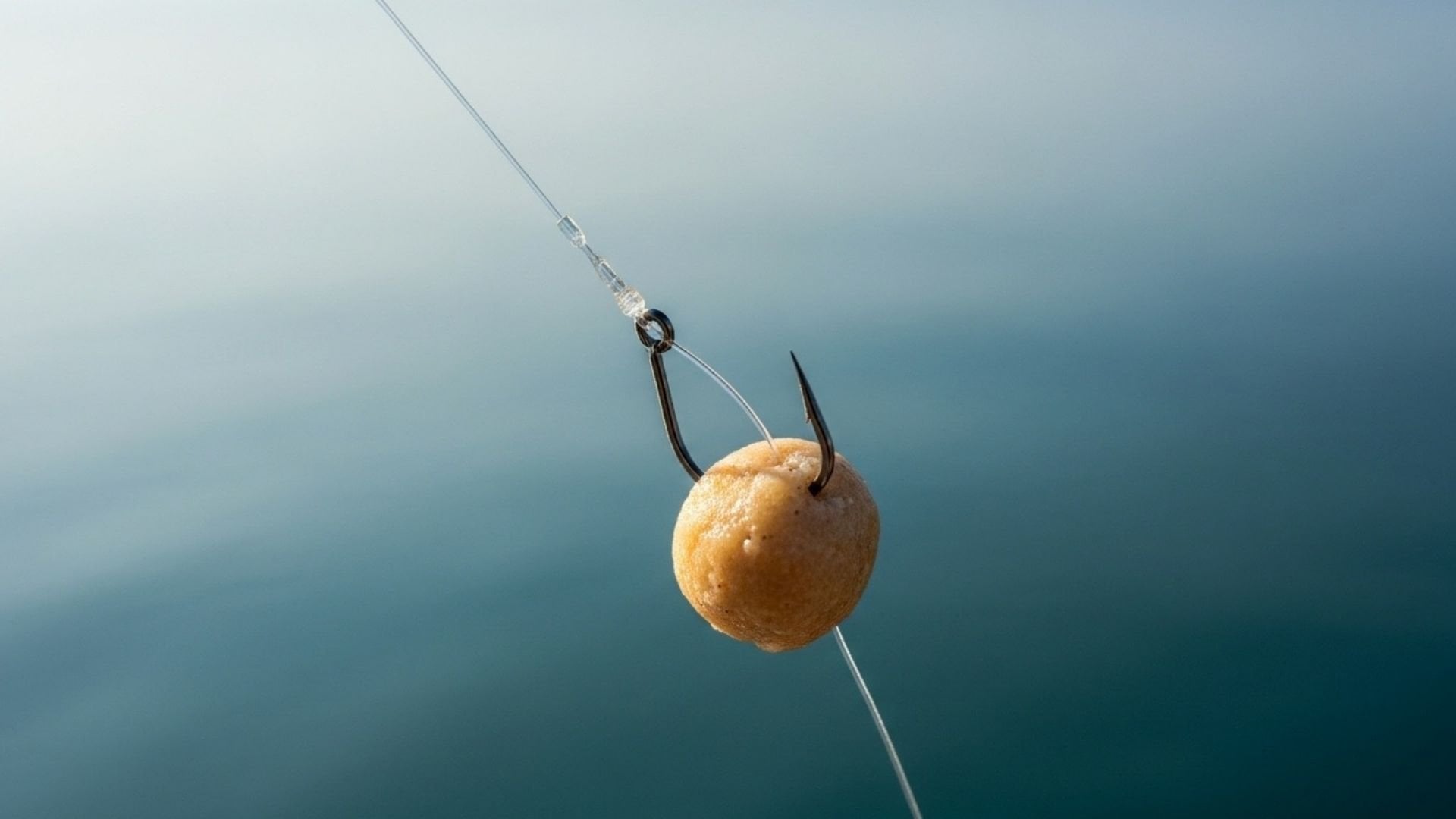 kefal-avi-olta-takimi