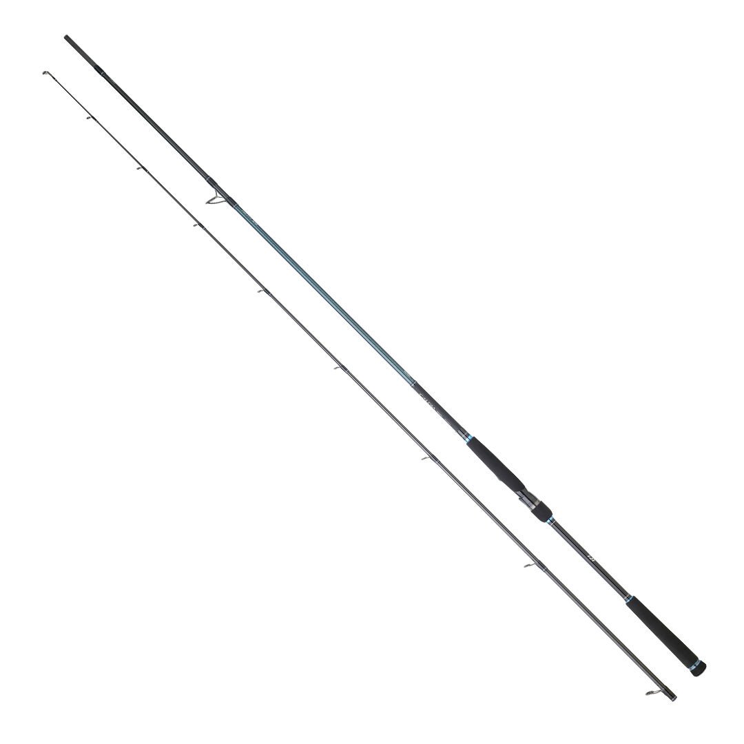 DAIWA CALDIA SEABASS 2.70M 14-42GR  2P KAMIŞ