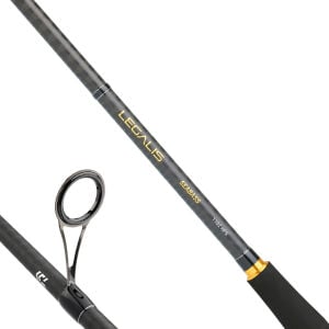 DAIWA LEGALIS SEABASS BF 2.44M, 7-28GR, 2P KAMIŞ
