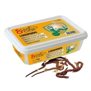 Lug Worm 8 Live Bait Deniz Solucanı - Çin Kurdu (Canlı Kurt)