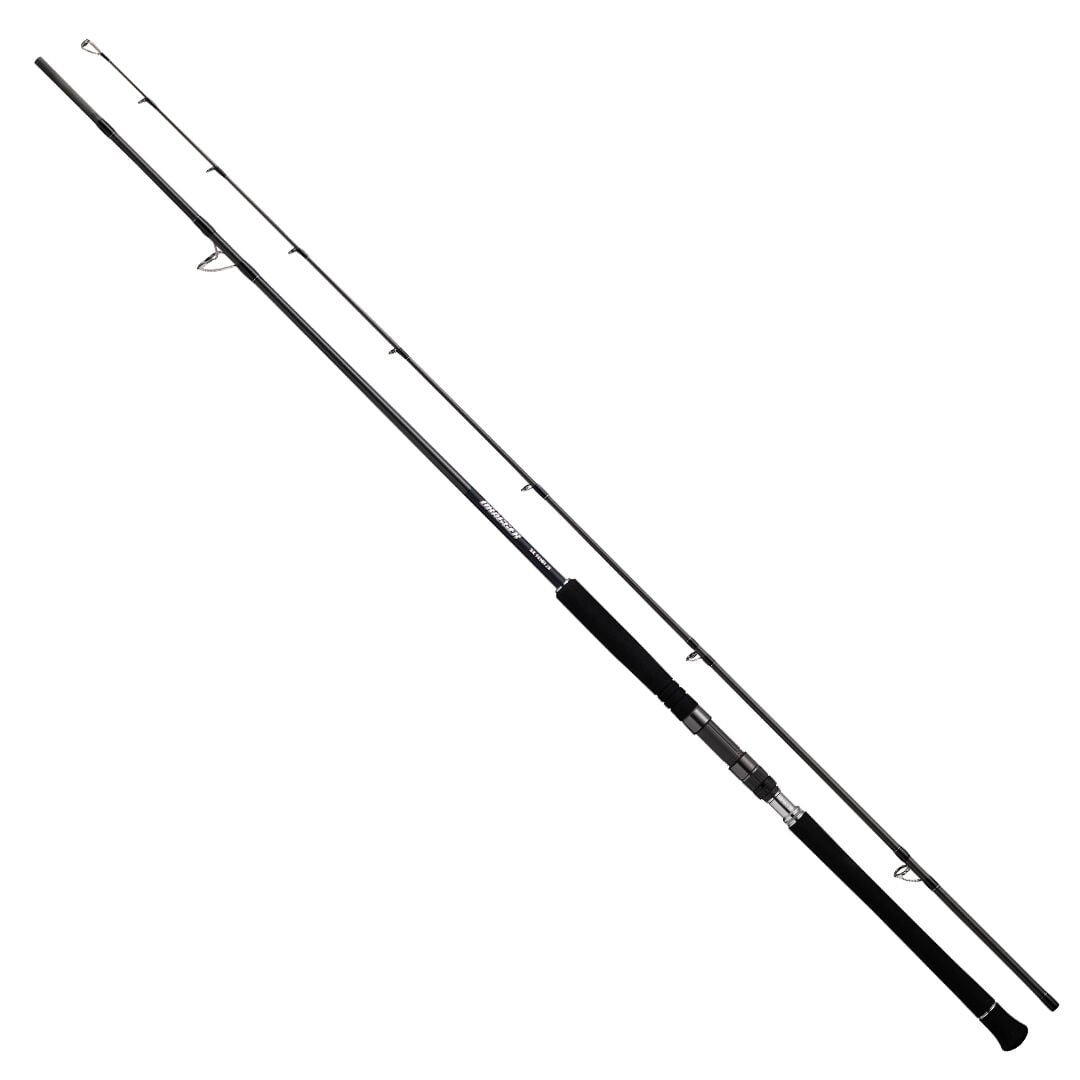 DAIWA DRAGGER SX 3.05M, LURE MAX 100GR, JIG MAX 130 GR, 2P SHORE JIG KAMIŞ
