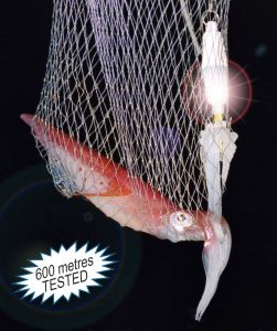 STONFO Işıklı Kalamar Yemi