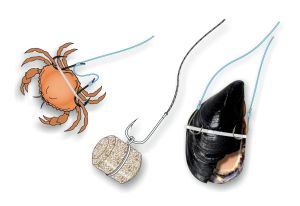 STONFO Canlı Yem Takma Aparatı ART 596