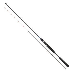 Daiwa Emeraldas Boat 1.98m 40-100gr 2P Kamış